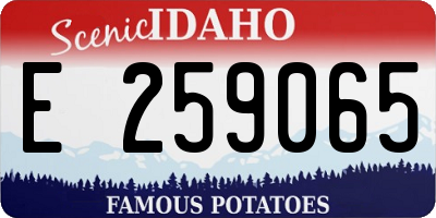 ID license plate E259065