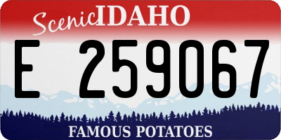 ID license plate E259067