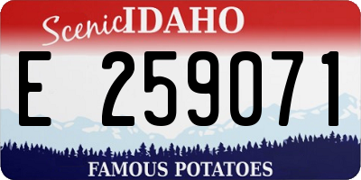 ID license plate E259071