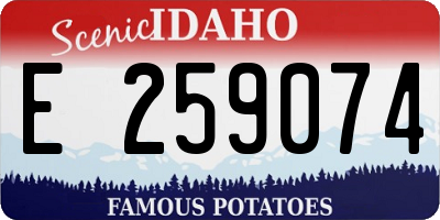 ID license plate E259074