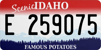 ID license plate E259075