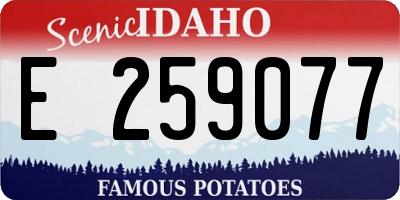 ID license plate E259077