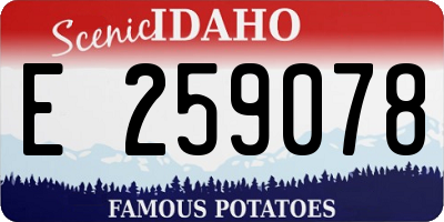 ID license plate E259078