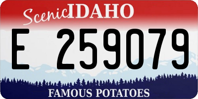 ID license plate E259079