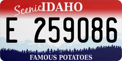ID license plate E259086