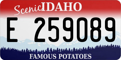 ID license plate E259089