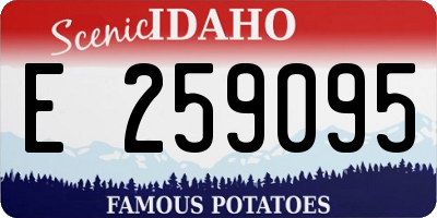 ID license plate E259095