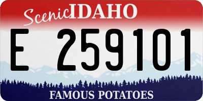 ID license plate E259101