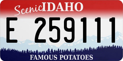 ID license plate E259111