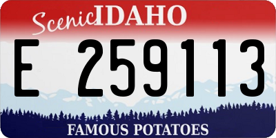 ID license plate E259113