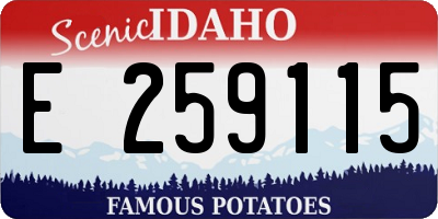 ID license plate E259115