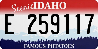 ID license plate E259117