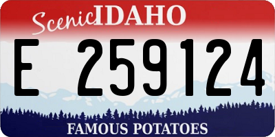 ID license plate E259124