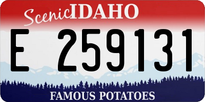 ID license plate E259131
