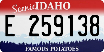 ID license plate E259138