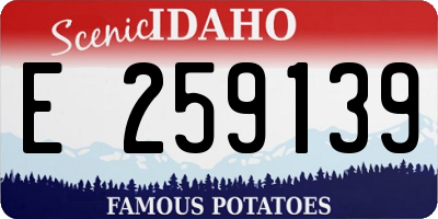 ID license plate E259139