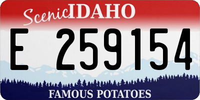 ID license plate E259154