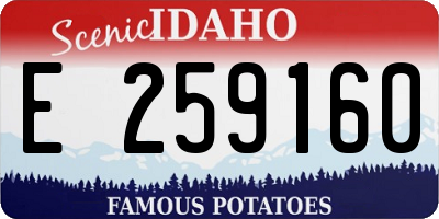 ID license plate E259160
