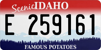 ID license plate E259161