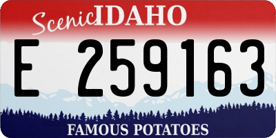 ID license plate E259163