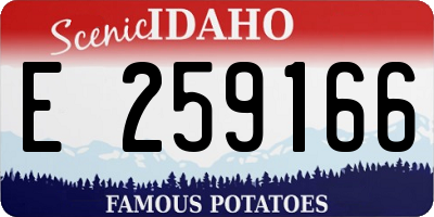 ID license plate E259166