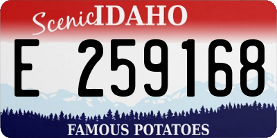 ID license plate E259168