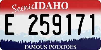 ID license plate E259171