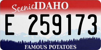 ID license plate E259173