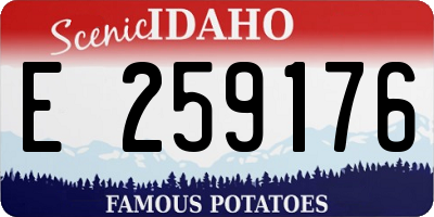 ID license plate E259176