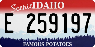 ID license plate E259197