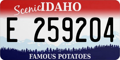 ID license plate E259204