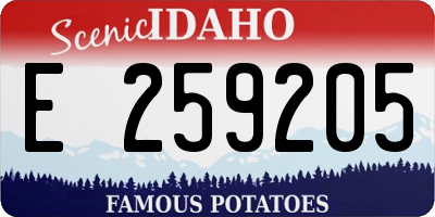 ID license plate E259205