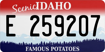 ID license plate E259207