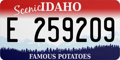 ID license plate E259209