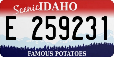 ID license plate E259231