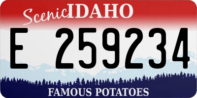 ID license plate E259234