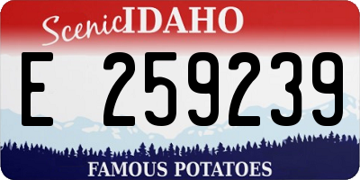 ID license plate E259239