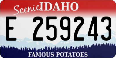 ID license plate E259243