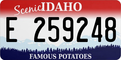 ID license plate E259248