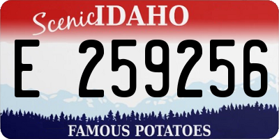 ID license plate E259256