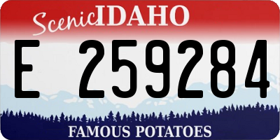 ID license plate E259284