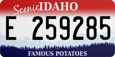 ID license plate E259285