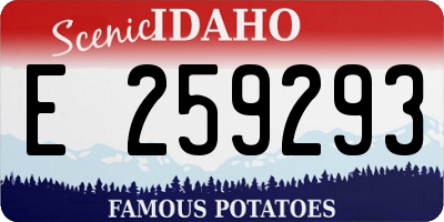 ID license plate E259293