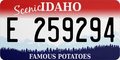 ID license plate E259294