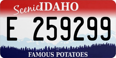 ID license plate E259299