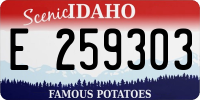 ID license plate E259303