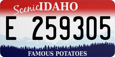 ID license plate E259305