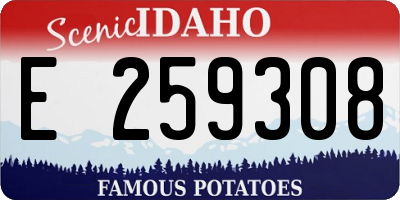 ID license plate E259308