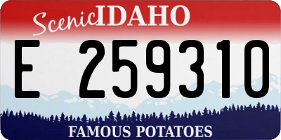 ID license plate E259310