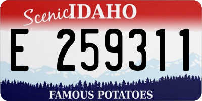 ID license plate E259311